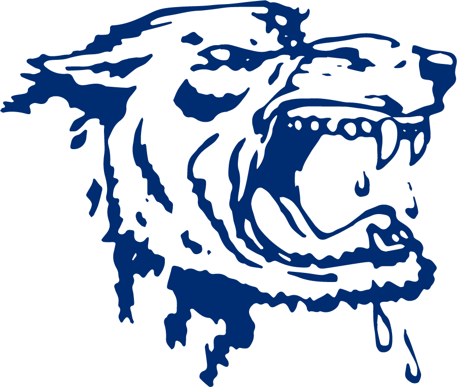 Nevada Wolf Pack 1971-1983 Alternate Logo diy DTF decal sticker